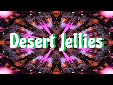 Desert Jellies - Floatin' in a Barrel // Spaces (Live)