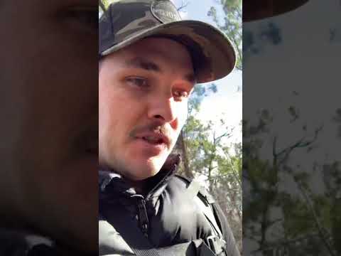 Arsenal camera assistant Honest review