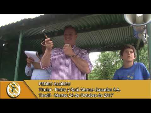 24-10-17 Nota Pedro Alonso - Pedro y Raúl Alonso Ganados S.A. - Tandil