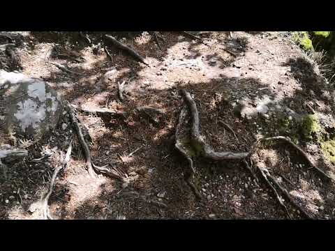 🍃👣💞ᛗᚨᚾᚾᚨᛉ' Auf Abenteuerreise' - Das Felsentor