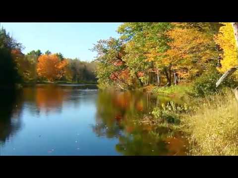 UN PASEO POR EL RIO   YouTube