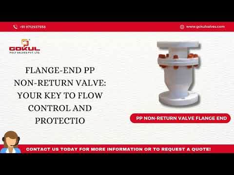 PP Non Return Valve