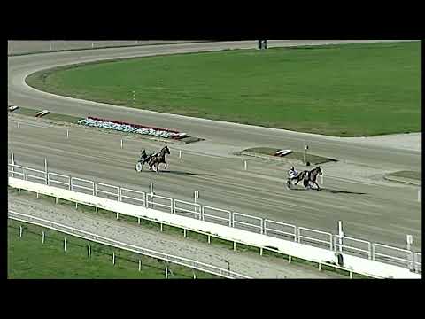 Napoli Trotto 06/02/2022 - prova di qualifica