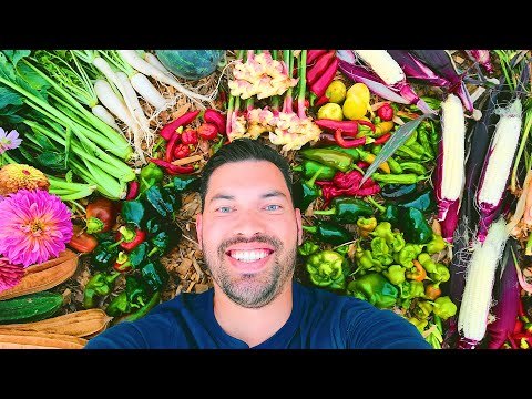 Garden With Me Starting Seeds Pruning Composting