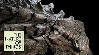 Perfectly preserved dinosaur fossil looks like it was alive yesterday | The Nature of Things