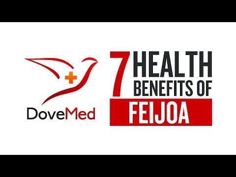 7 Health Benefits Of Feijoa