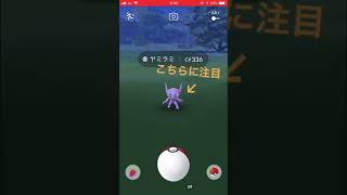 【ポケモンGO】ヤミラミの動きがアレにしか見えない