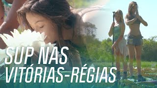 Miniatura do vídeo