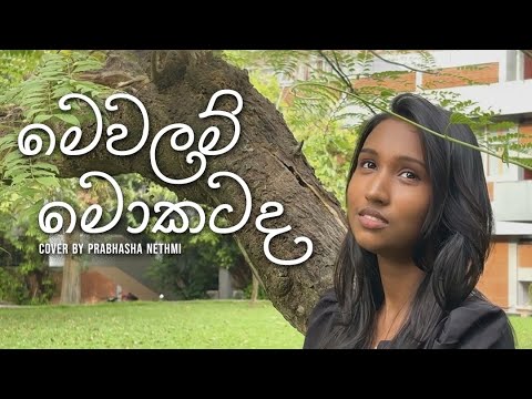 Mewalam mokatada ( මෙවලම් මොකටද) | cover by Prabhasha Nethmi