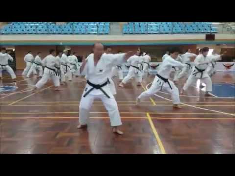 Seiryu trainning and Bunkai  - private lesson