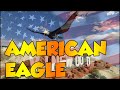 Hawk to American Eagle 3
