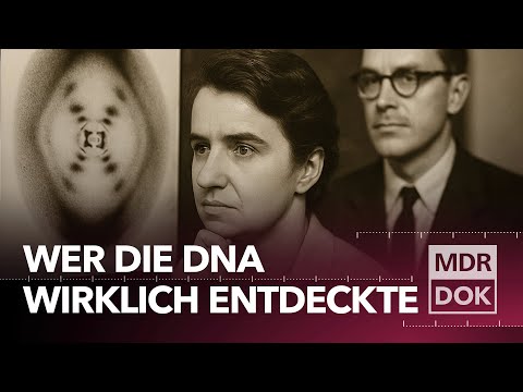 Rosalind Franklin: Die Wahrheit über den größten Wissenschaftsskandal des 20. Jahrhunderts | MDR DOK