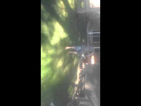 Skylander shorts episode 1 what the life