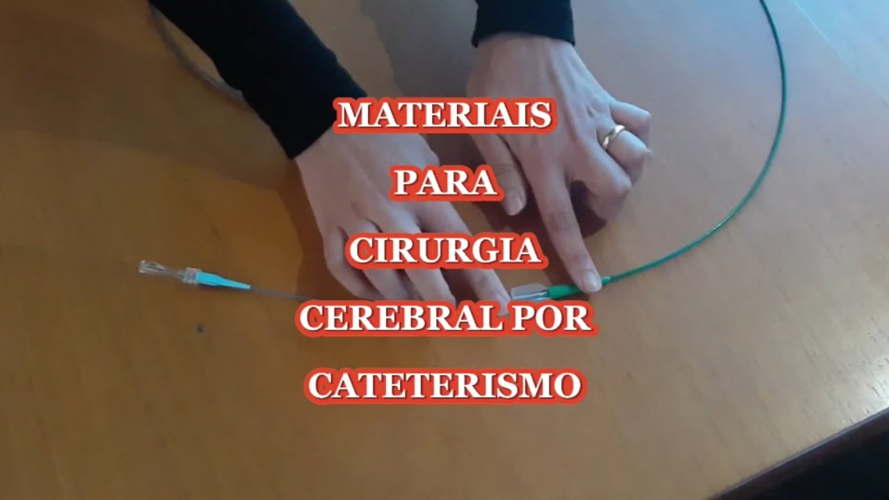 Luana Antunes Maranha Gatto-9