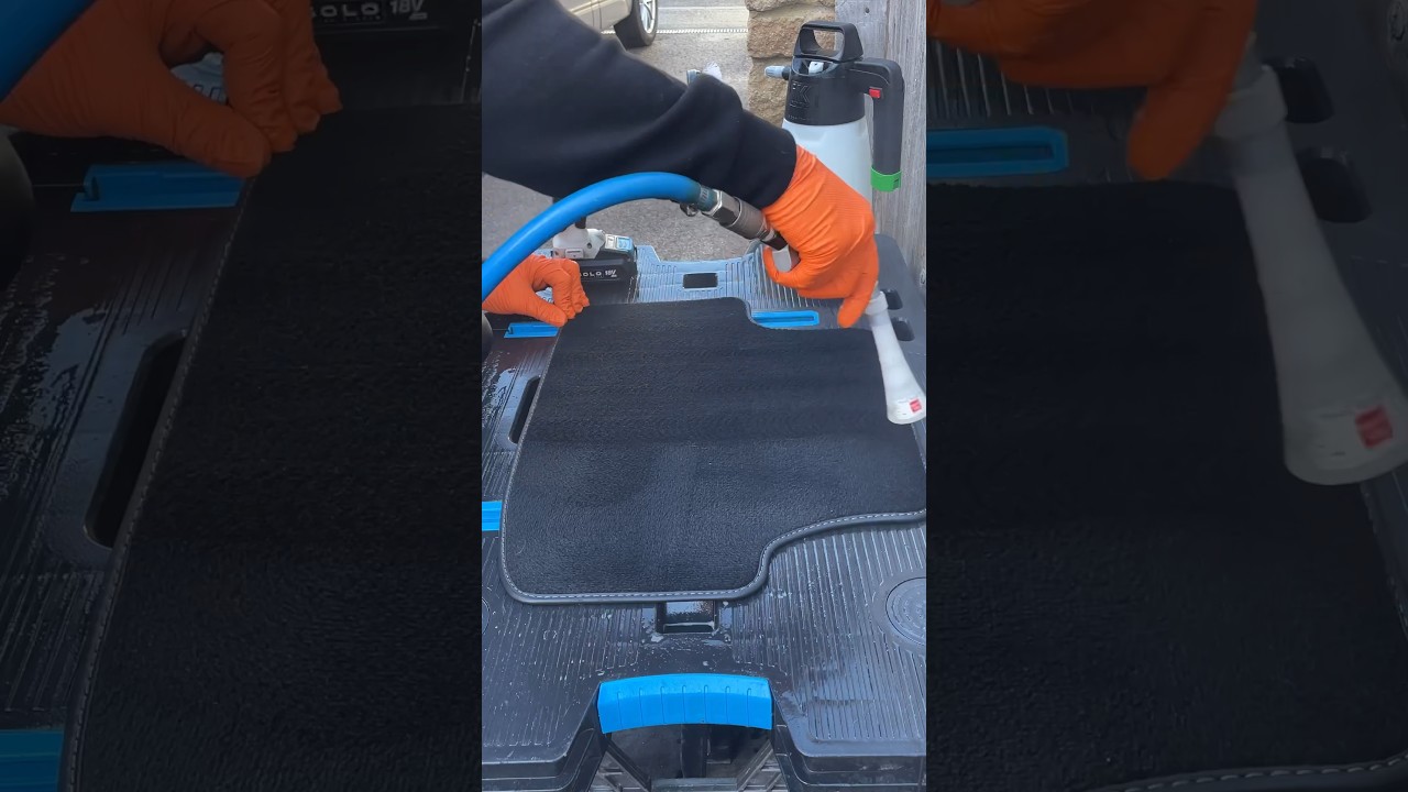 Carpet Cleaning