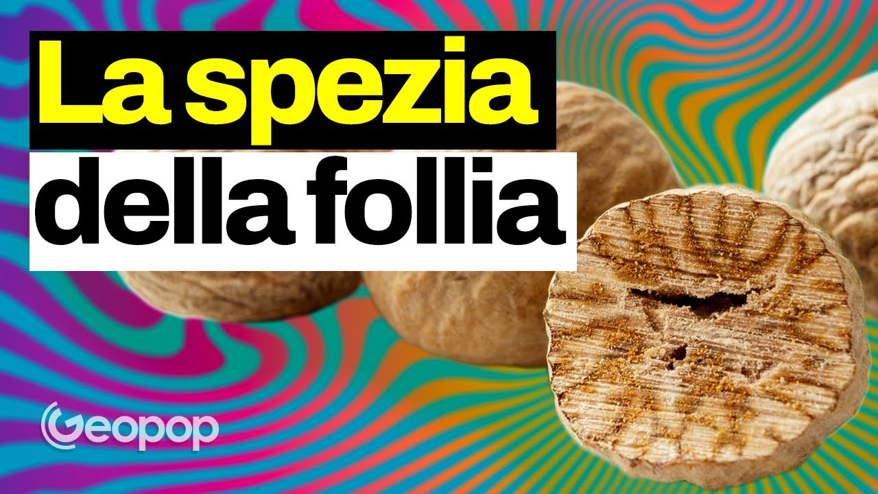 Noce moscata e i suoi effetti allucinogeni: storia della spezia che ha fatto nascere New York