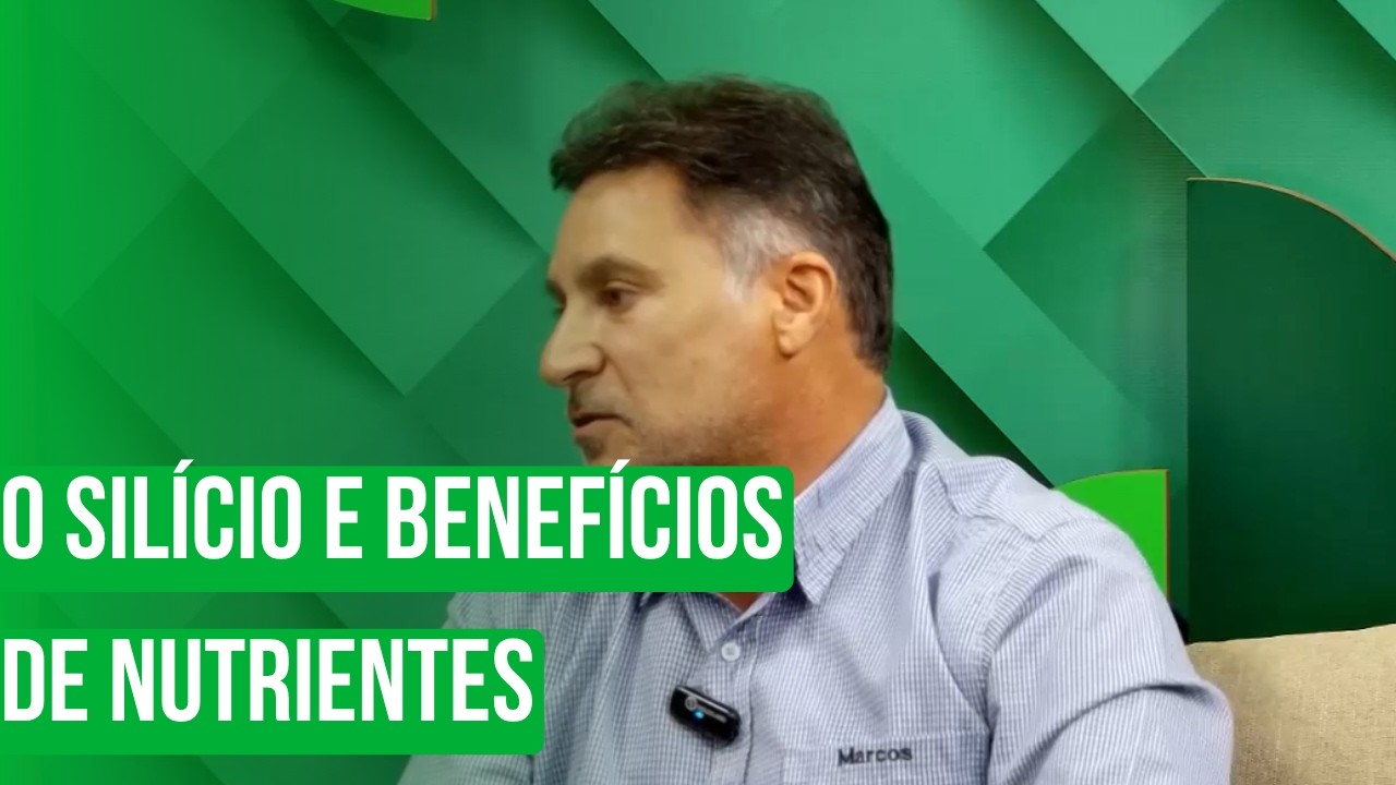 O silício e benefícios de nutrientes