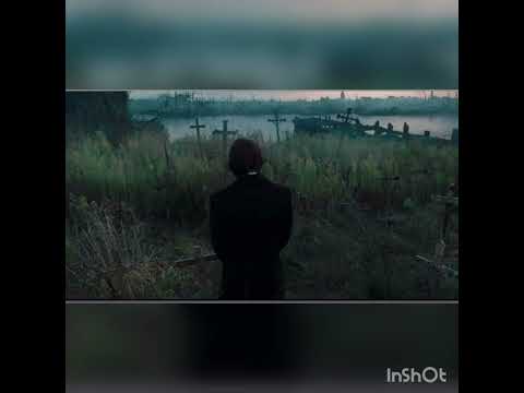 liver Lungs spleen Heart