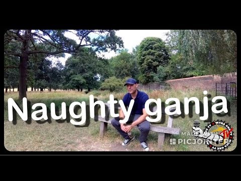 Mykaone tv - Conversa com Naughty Ganja