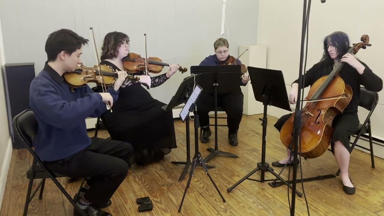 Promotional video thumbnail 1 for High Country Quartet