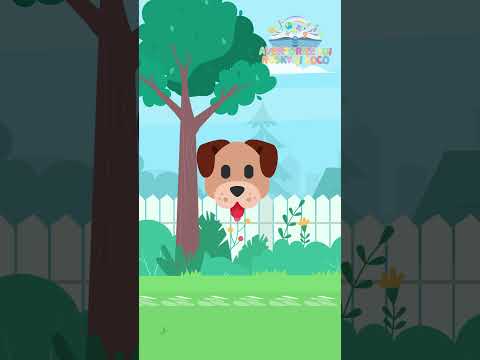 Rosky si Coco - B-I-N-G-O was his name 🦮🐩🐕‍🦺 #bingo #nurseryrhymes #roskysicoco #supersimplesongs