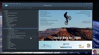 SAP - Post Goods Issued for Sales Order (VL02N)