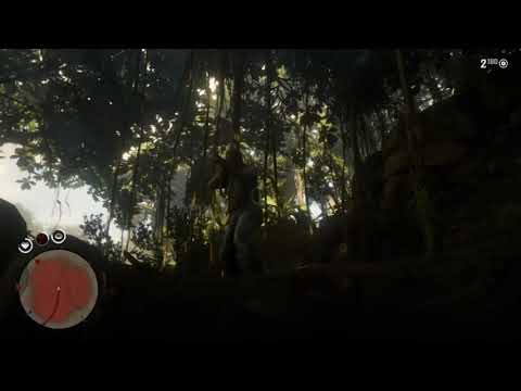 John Marston falls into a trap in Guarma