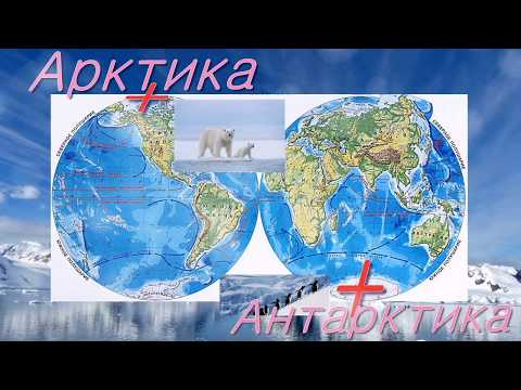 Арктика и Антарктида. Жизнь на краю Земли.
