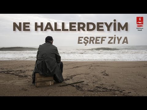 EŞREF ZİYA "What I am in"