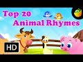 Top 20 Animal Nursery Rhymes 20 Mins Compilation Of Cartoon Animated Songs For Kids