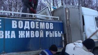 Платная рыбалка фишка в рузском районе