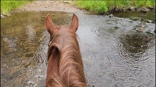 Black Hills Trail Ride at French Creek-Relaxation, ASMR