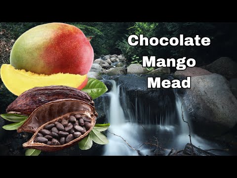 Chocolate Mango Mead - simple recipe-How to make mead