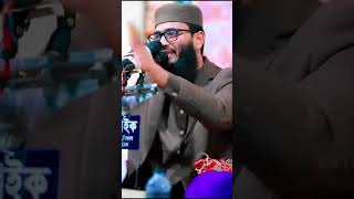 সোনামণি তোমাদের বউ নাই আব্বা বুঝেনা রে আব্বা বুঝেনা ? ___abrarul_haque_asif __foryou __for __reels