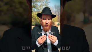 לב שבור תנאי לשכלתנות טהורה וקדושה! קצר ולעניין פרשת כי תשא עם הרב יחיאל גלוכובסקי (הרב יחיאל גלוכובסקי) - התמונה מוצגת ישירות מתוך אתר האינטרנט יוטיוב. זכויות היוצרים בתמונה שייכות ליוצרה. קישור קרדיט למקור התוכן נמצא בתוך דף הסרטון