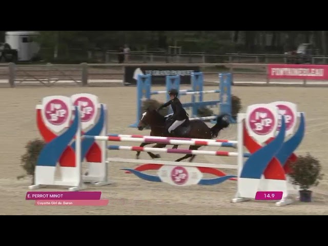 GRAND PRIX AS ELITE COYOTTE GIRL DU GARON