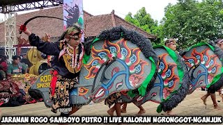 Download lagu Jaranan ROGO SAMBOYO PUTRO Perang Celeng❗Live Kaloran Ngronggot Nganjuk 2023 mp3 Download lagu Jaranan ROGO SAMBOYO PUTRO Perang Celeng❗Live Kaloran Ngronggot Nganjuk 2023 mp3