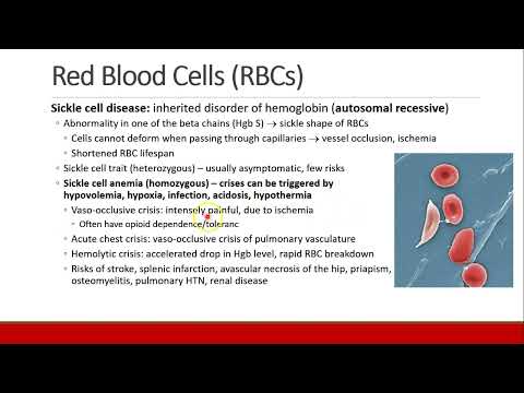 Applied Physiology for Anesthesia - 07 - BLOOD - Part 1