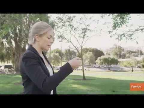 Gadgets and Wearables for Your Pet Showcased at 2015 CES