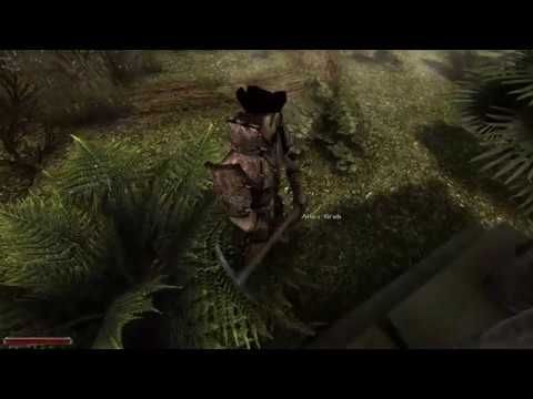 Gothic II Odyssee 2.6.3. - Gute Momente #10 - Kapitel 2 die Orkflotte - Der Stammler