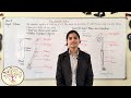 GGV ONLINE CLASSES SCIENCE THE SKELETON SYSTEM