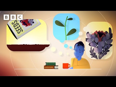 Visualisation can help YOU achieve a better future! - BBC