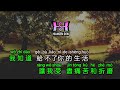 Ni Yong Yuan Bu Dong Wo Remix Dangdut 你永遠不懂我 Karaoke No Vokal Cover To Lyrics Pinyin