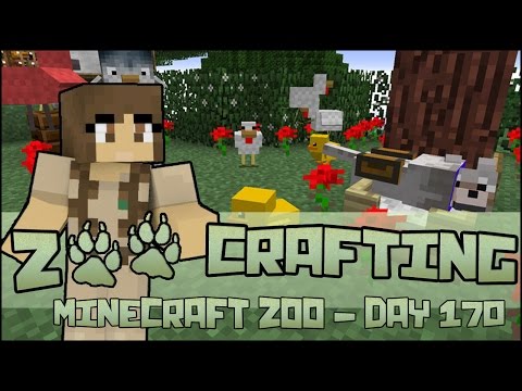 Holly and Her Hens!! 🐘 Zoo Crafting: Season 2 - Episode #170