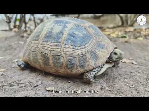 The Ultimate KHON KAEN Journey 26 อำเภอ ครบทุกมิติแห่งการท่องเที่ยว
