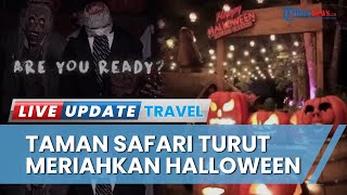 Meriahkan Halloween, Taman Safari Bogor Gelar Safari Malam dengan Promo Harga Tiket Rp 120 Ribu