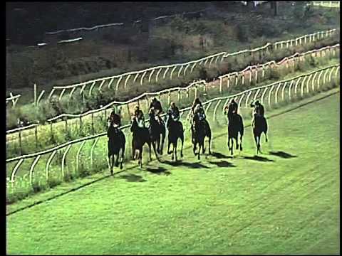 Galoppo 15/07/2015 - 6° corsa