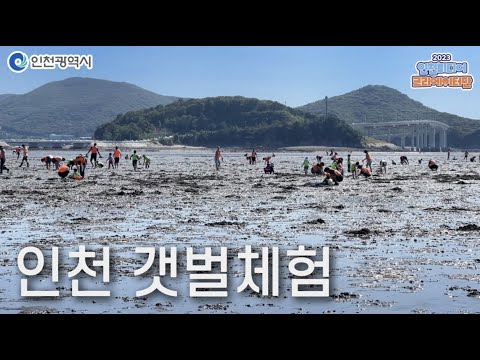 인천시ㅣ인천 갯벌체험