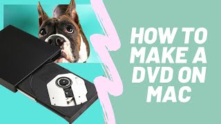 How to Make a DVD on Mac with the Best DVD Creator
