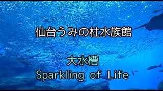【うみの杜】大水槽～スパークリングショー～【仙台水族館】